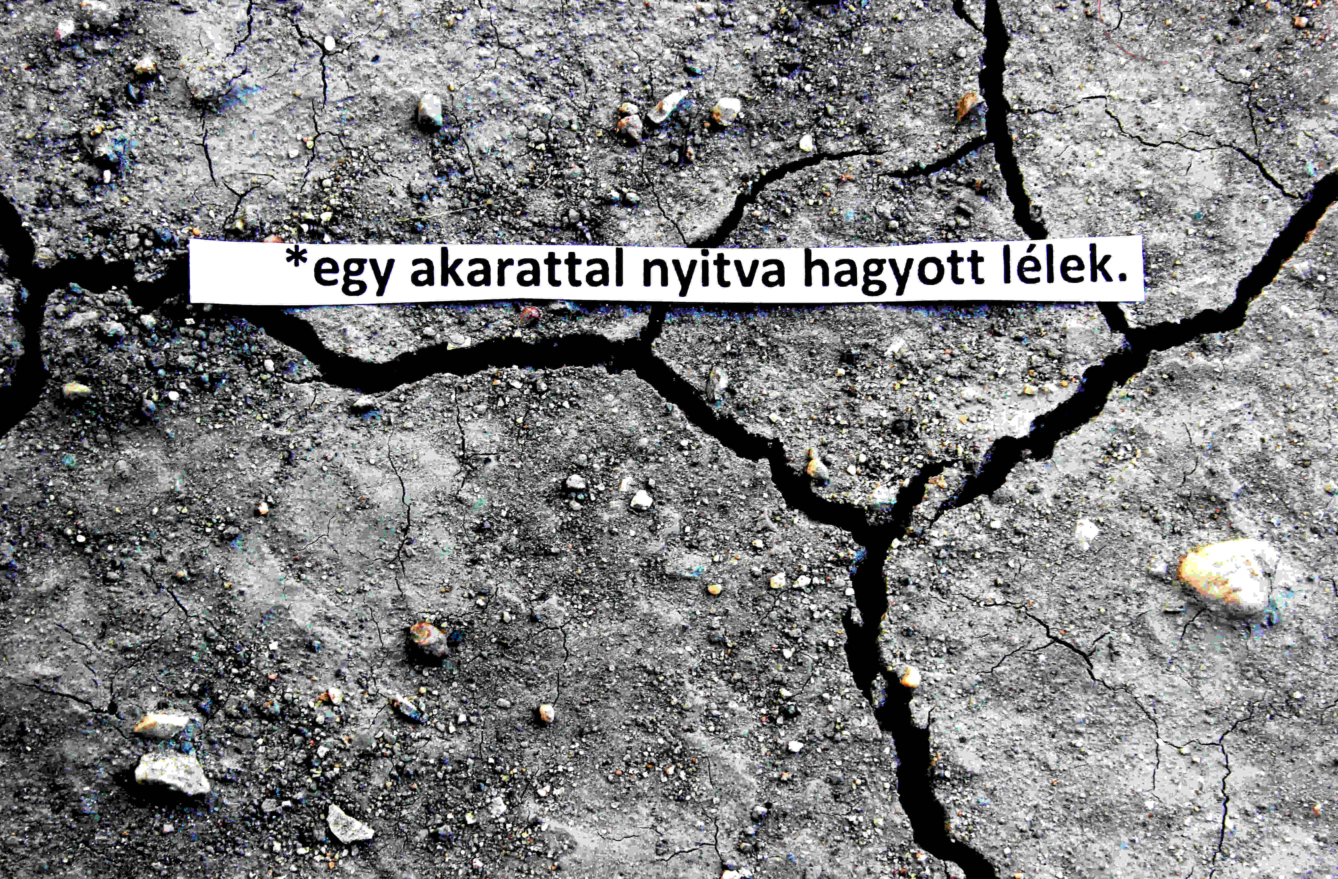 Egy akarattal nyitva hagyott lélek