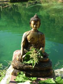 Buddha
