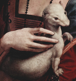 Hermelin hölgy kezében Hermelines Hölgy, Leonardo