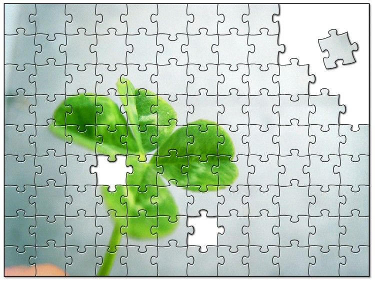 Szerencsekovács Lóhere puzzle