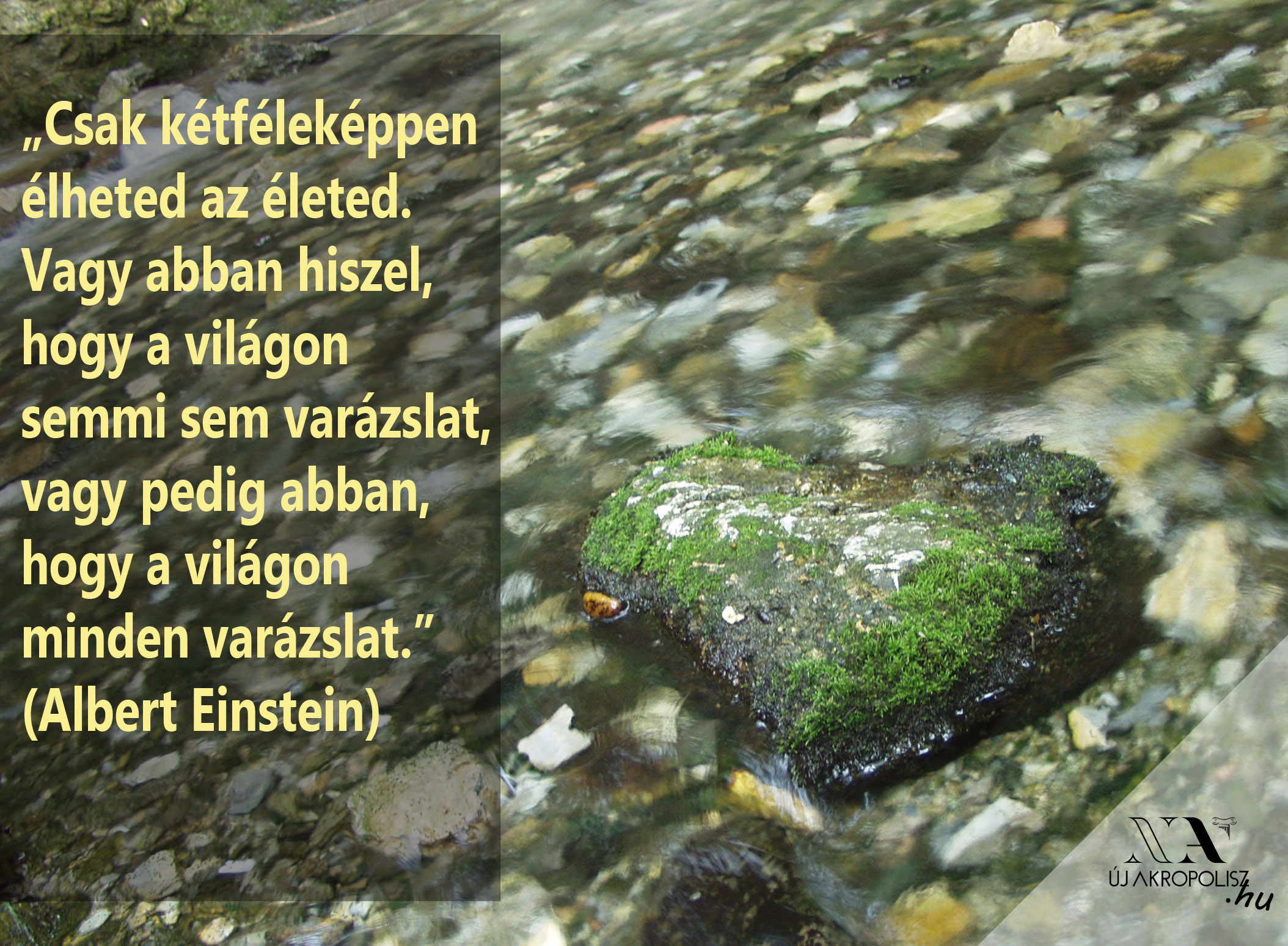 fotó: Pálosi Gyula Viktor Einstein idézete a patakban
